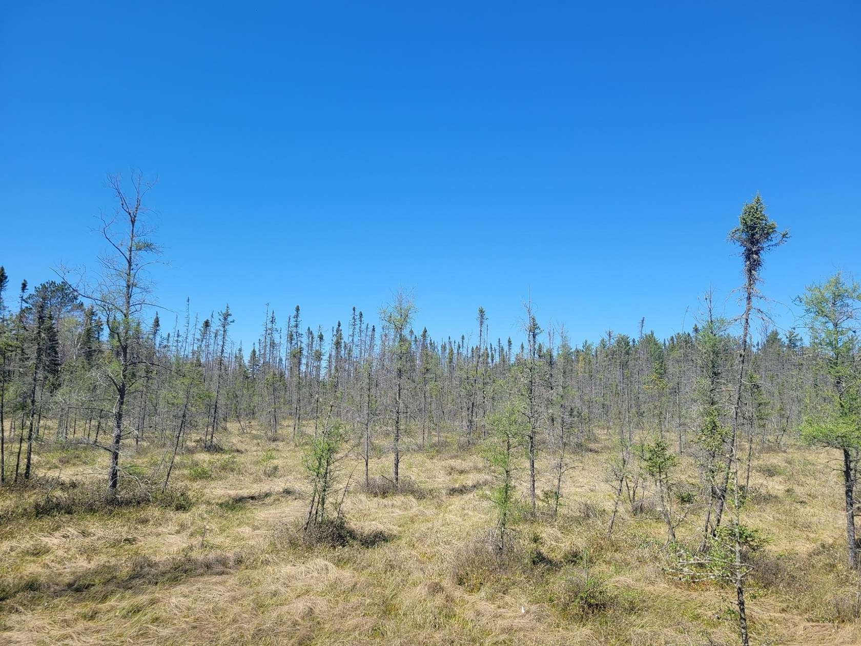 15.4 Acres of Recreational Land for Sale in Eagle River, Wisconsin