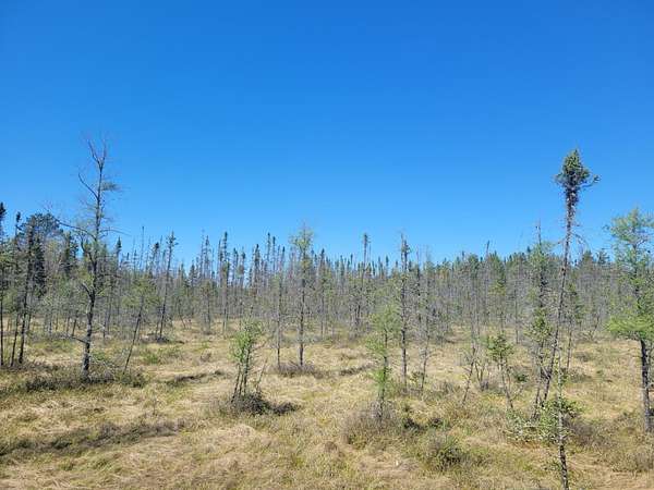 15.4 Acres of Recreational Land for Sale in Eagle River, Wisconsin