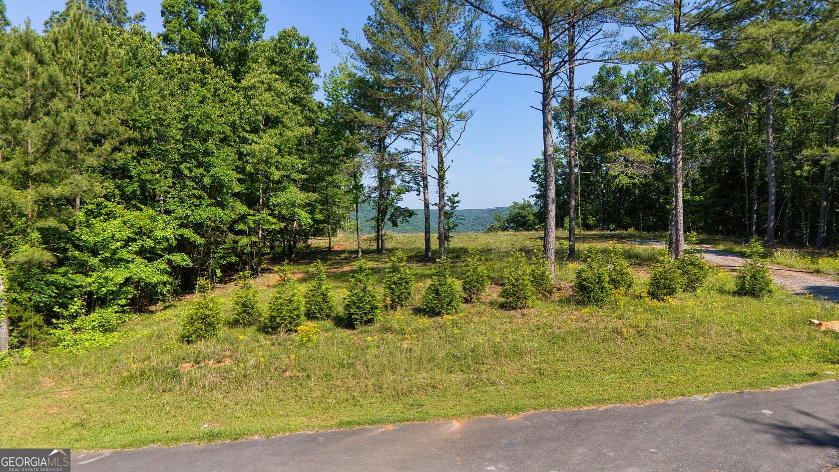 3 Acres of Residential Land for Sale in Cedar Bluff, Alabama