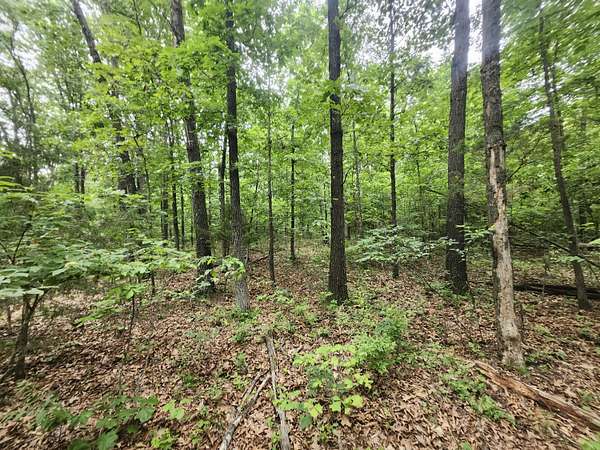 15 Acres of Land for Sale in Hartville, Missouri