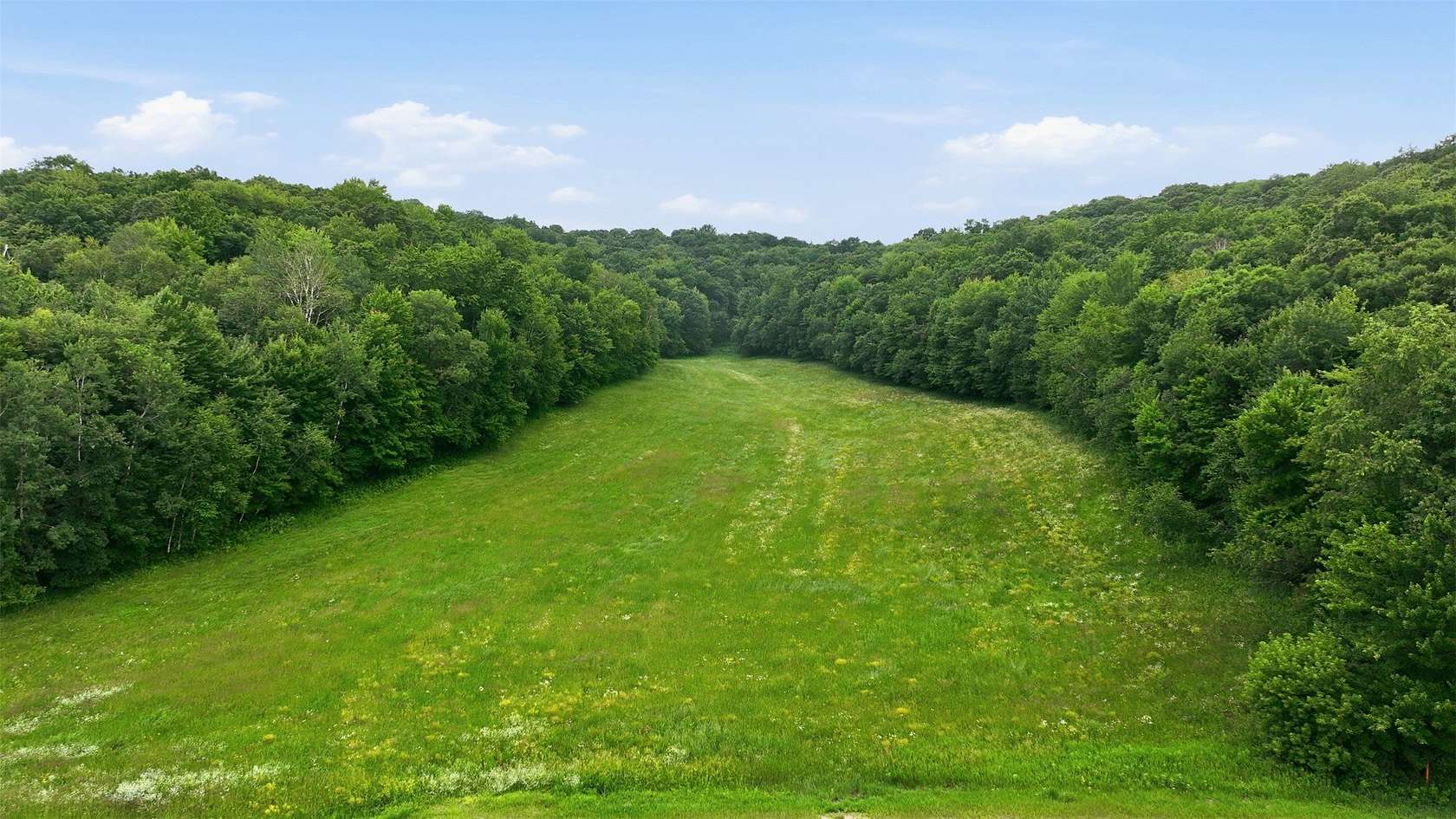 40 Acres of Land for Sale in Wheeler, Wisconsin
