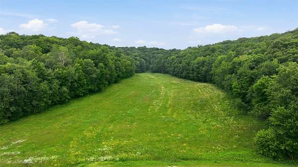 40 Acres of Land for Sale in Wheeler, Wisconsin