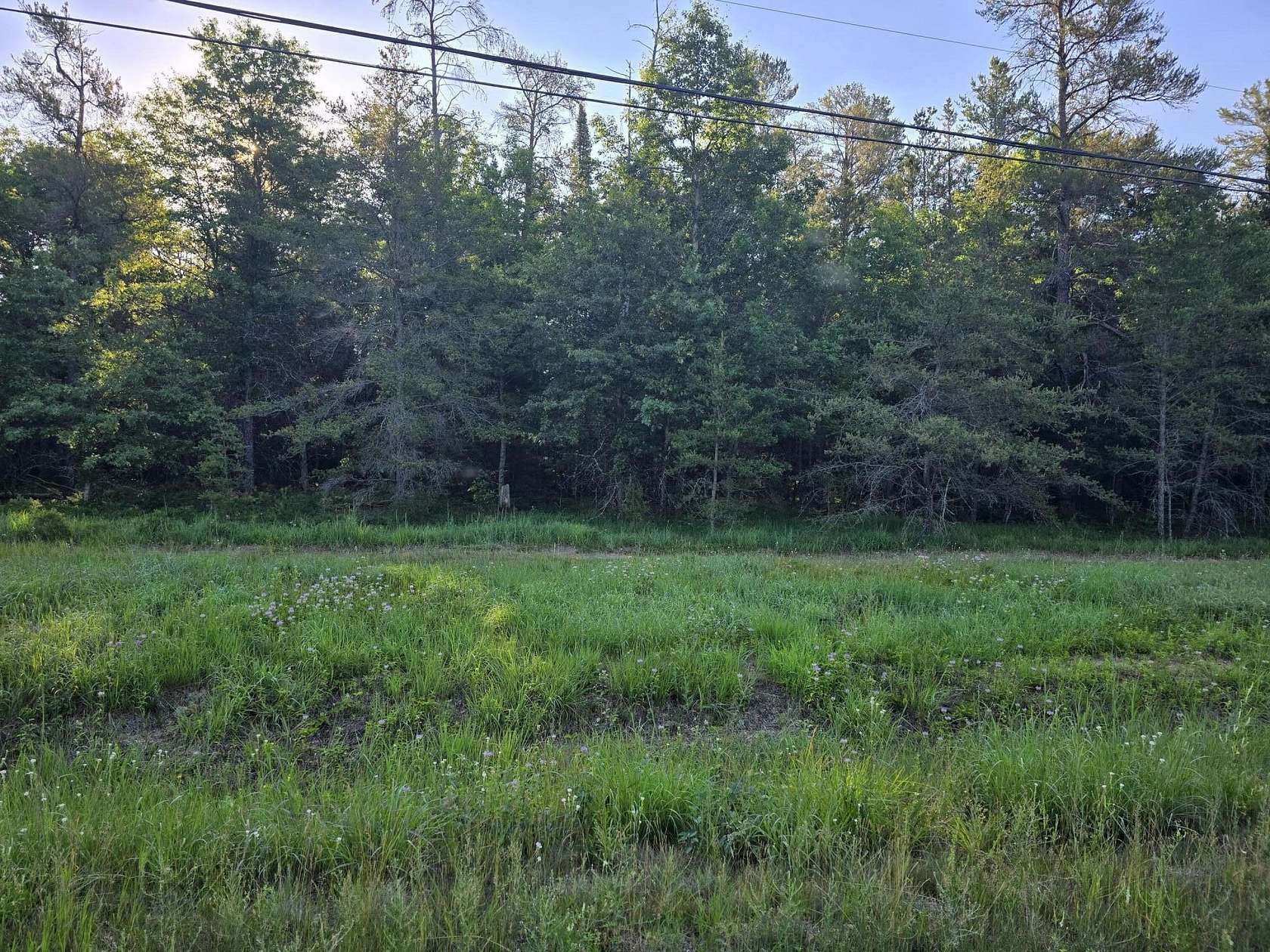 5 Acres of Residential Land for Sale in Roscommon, Michigan