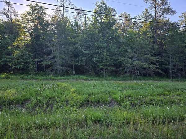 5 Acres of Residential Land for Sale in Roscommon, Michigan