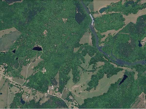 57.5 Acres of Recreational & Residential Land for Sale in Donalds, South Carolina