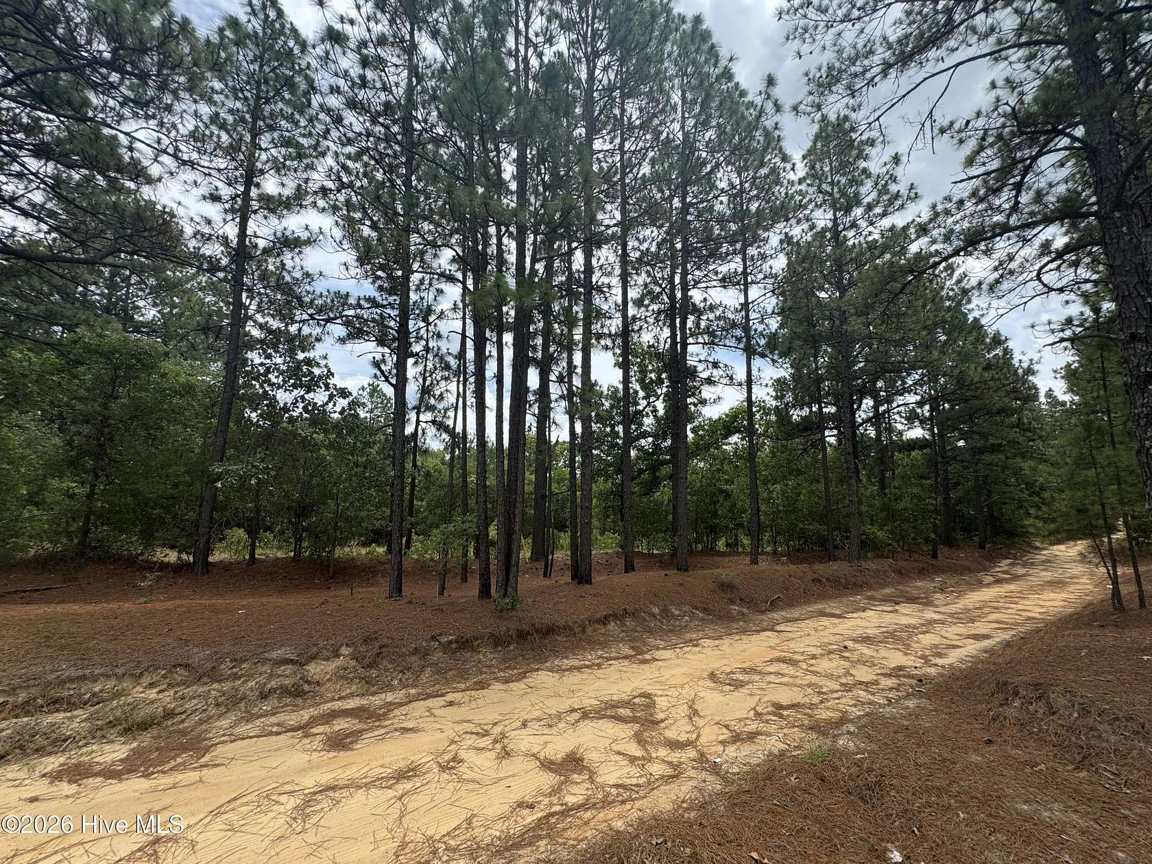 5.72 Acres of Residential Land for Sale in Cameron, North Carolina