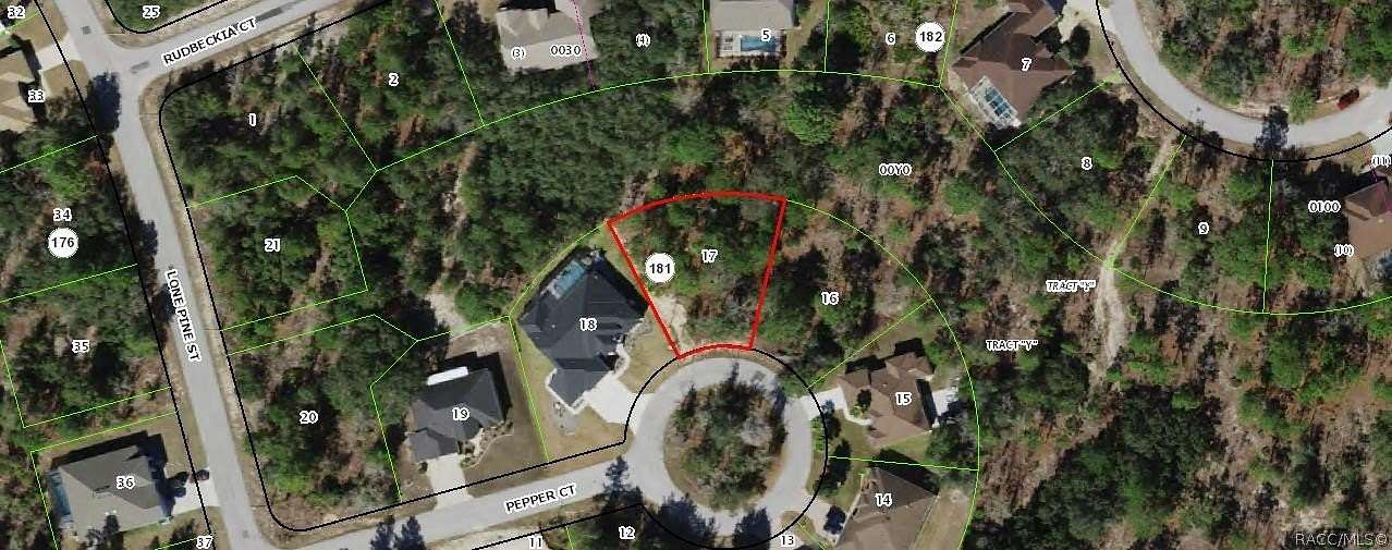 0.28 Acres of Land for Sale in Homosassa, Florida