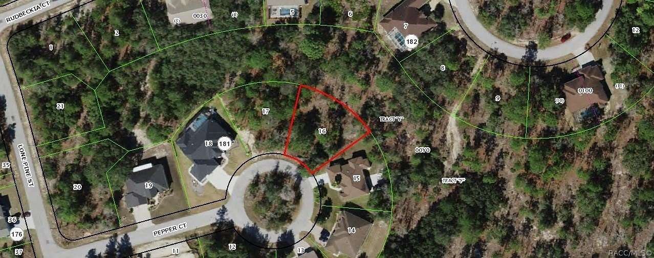 0.28 Acres of Land for Sale in Homosassa, Florida