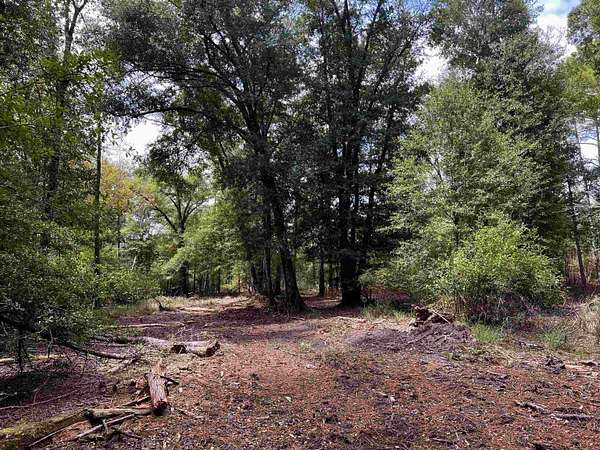 5 Acres of Residential Land for Sale in Quincy, Florida