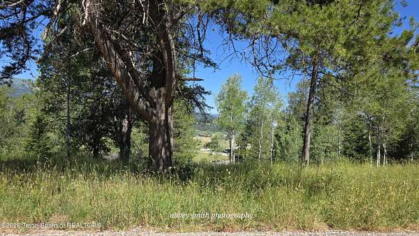 0.86 Acres of Residential Land for Sale in Alpine, Wyoming