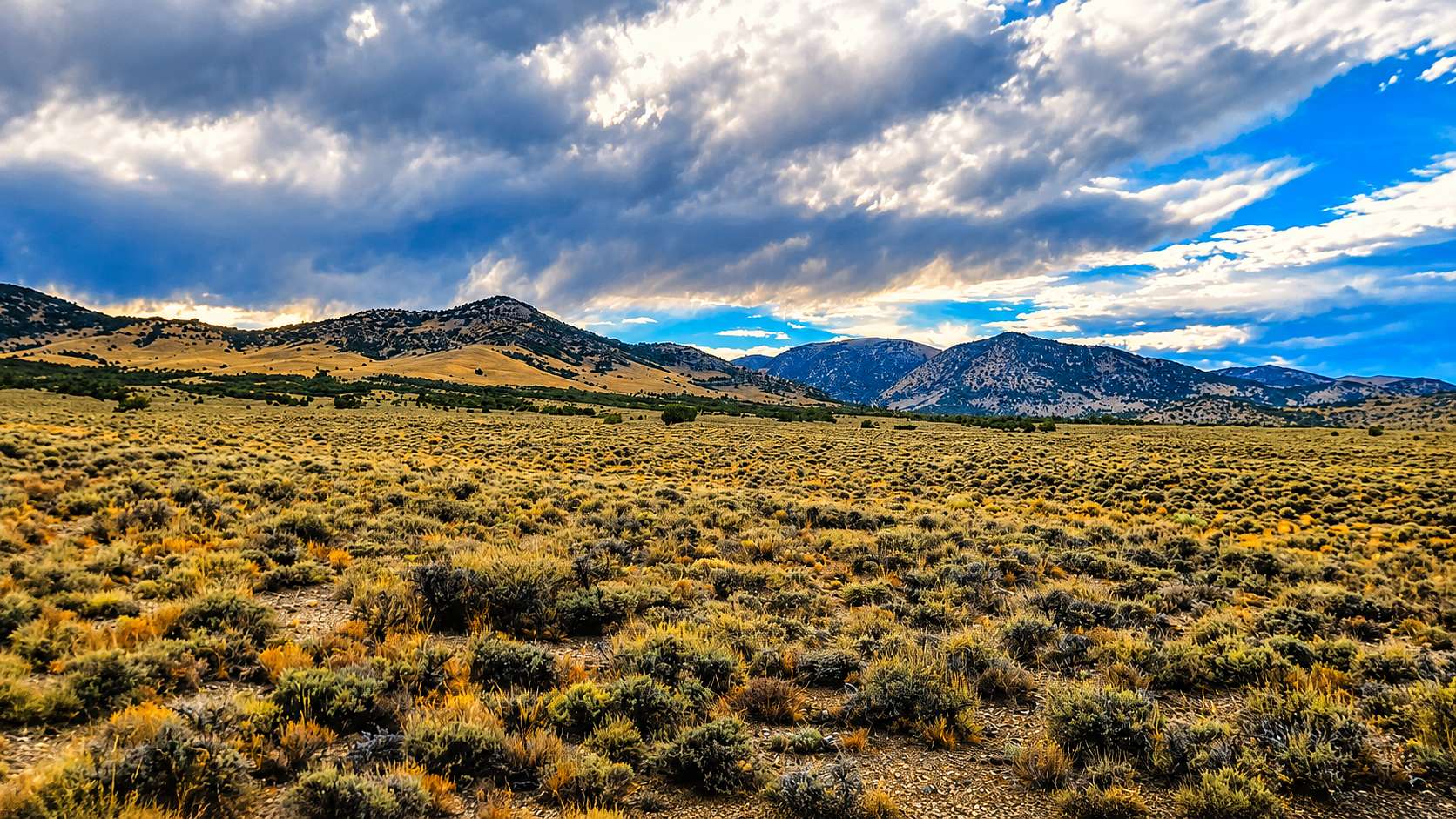 10 Acres of Recreational & Residential Land for Sale in Montello, Nevada