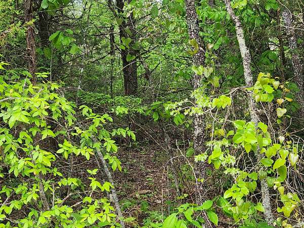 6.29 Acres of Land for Sale in Ash Flat, Arkansas
