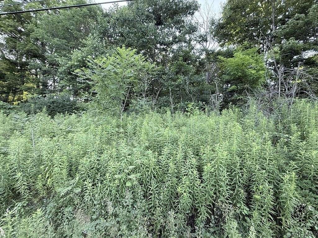 4.6 Acres of Residential Land for Sale in Nanty Glo, Pennsylvania