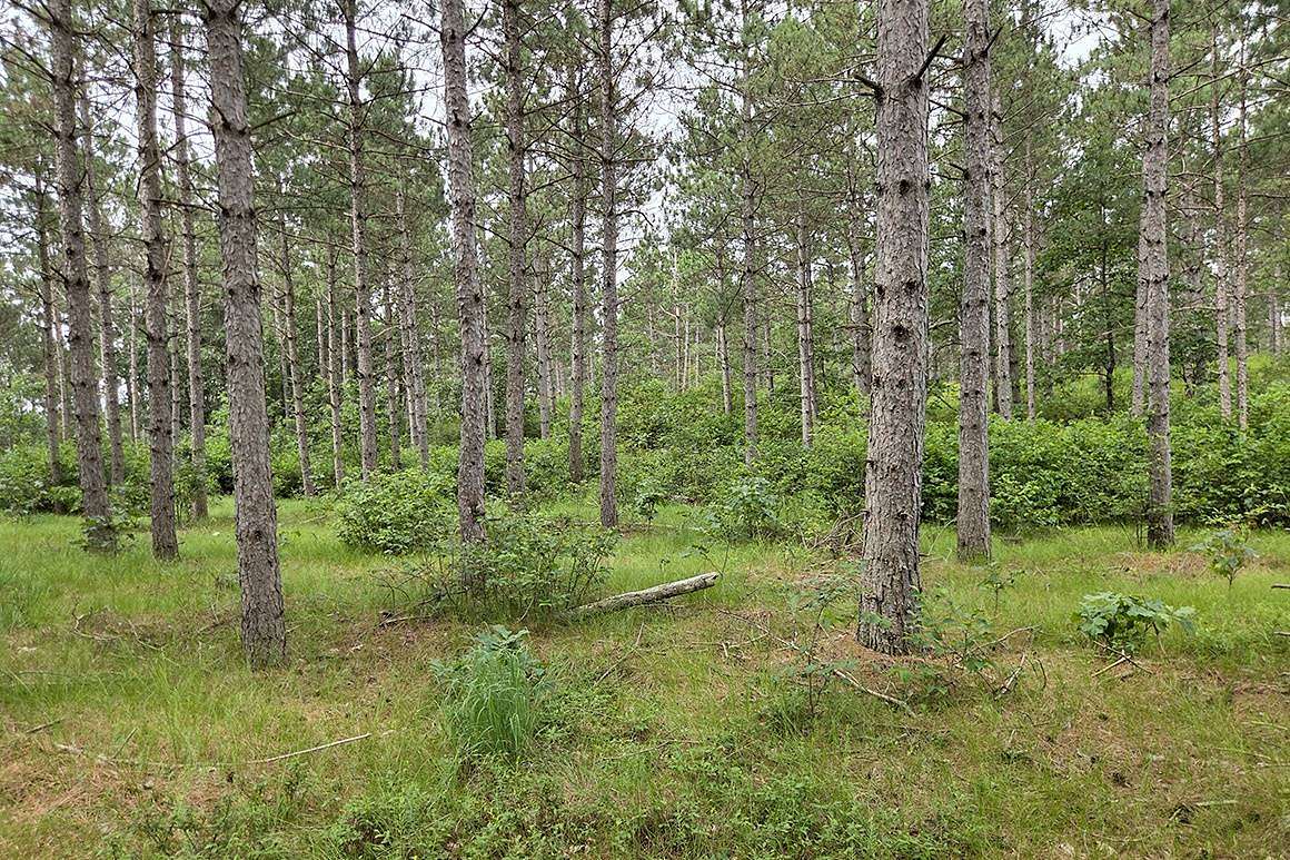 2.19 Acres of Residential Land for Sale in Rome, Wisconsin