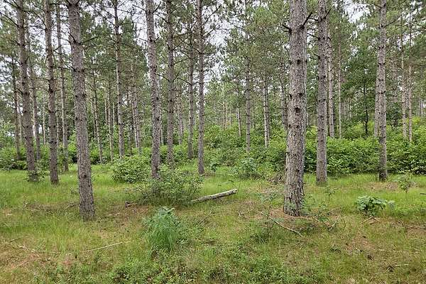 2.19 Acres of Residential Land for Sale in Rome, Wisconsin
