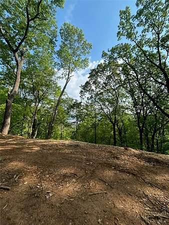 2 Acres of Residential Land for Sale in Ranger, Georgia