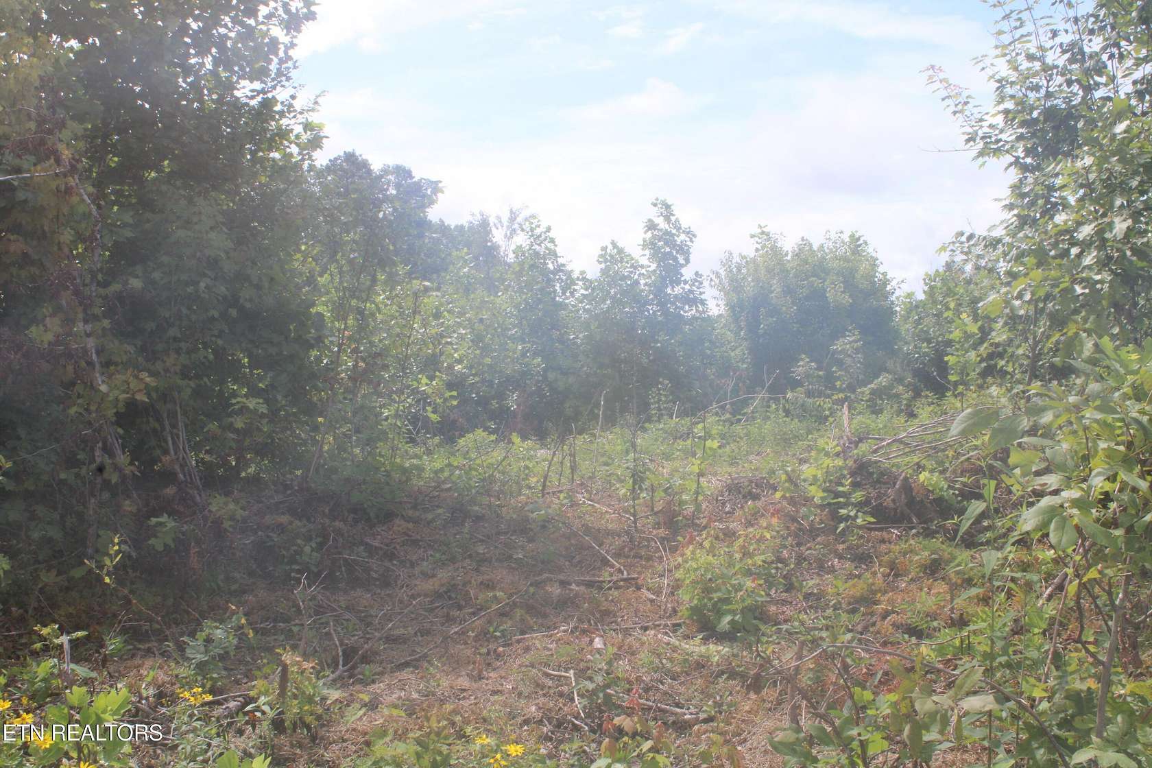 4 Acres of Residential Land for Sale in Jamestown, Tennessee