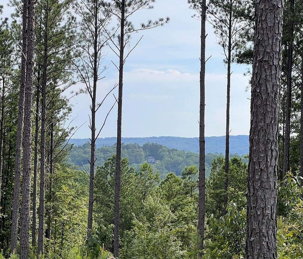 3.79 Acres of Residential Land for Sale in Ellijay, Georgia