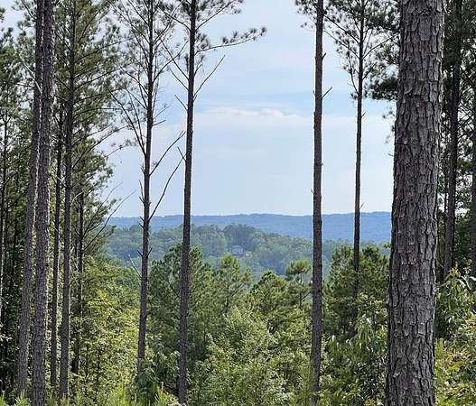 3.79 Acres of Residential Land for Sale in Ellijay, Georgia