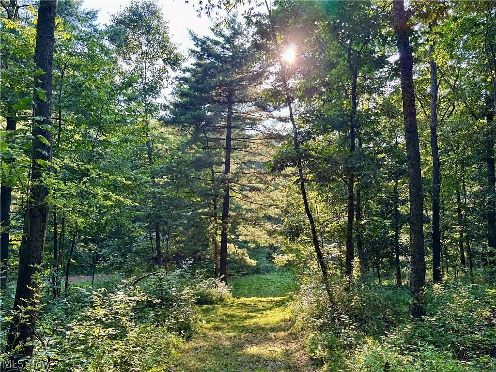 4.25 Acres of Residential Land for Sale in Lakeville, Ohio
