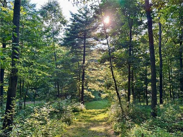 4.25 Acres of Residential Land for Sale in Lakeville, Ohio