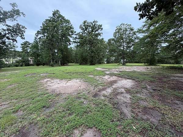 0.24 Acres of Residential Land for Sale in Brookeland, Texas