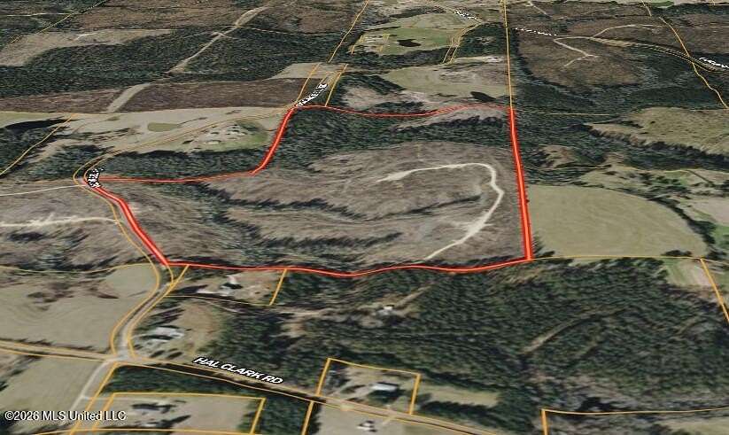 91 Acres of Recreational & Residential Land for Sale in Waynesboro, Mississippi