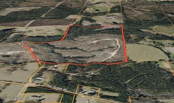 91 Acres of Recreational & Residential Land for Sale in Waynesboro, Mississippi