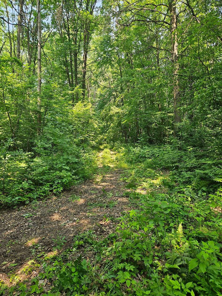 49 Acres of Recreational Land for Sale in Cameron, Wisconsin