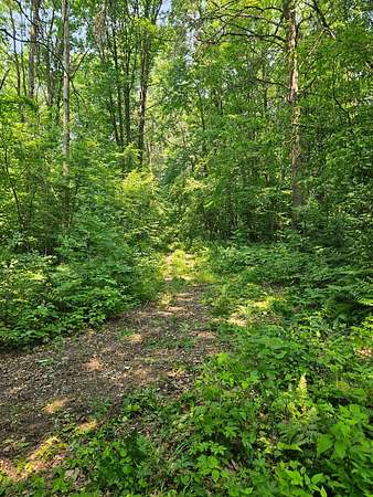 49 Acres of Recreational Land for Sale in Cameron, Wisconsin