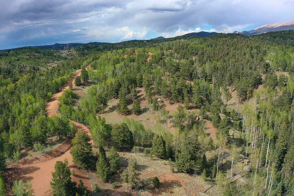 1.25 Acres of Residential Land for Sale in Cripple Creek, Colorado