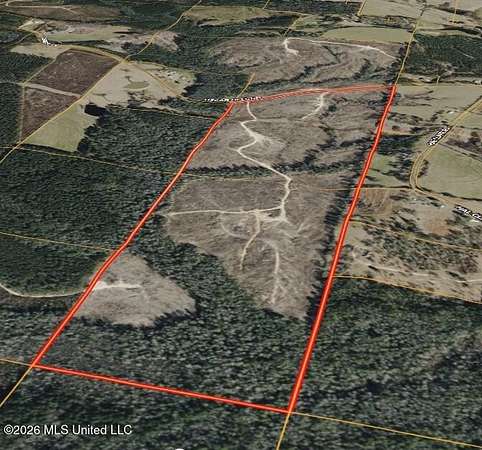 143 Acres of Recreational & Residential Land for Sale in Waynesboro, Mississippi