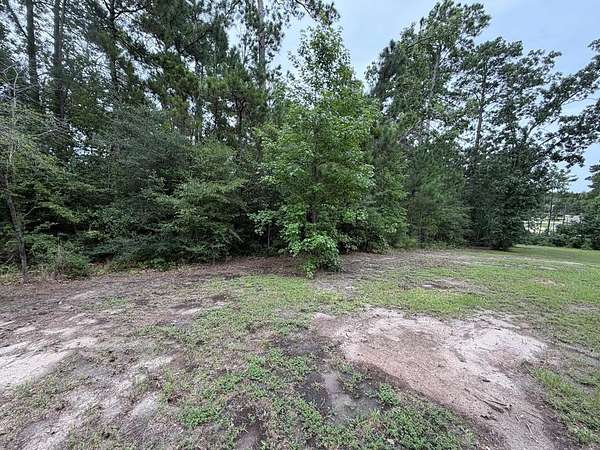 0.2 Acres of Residential Land for Sale in Brookeland, Texas