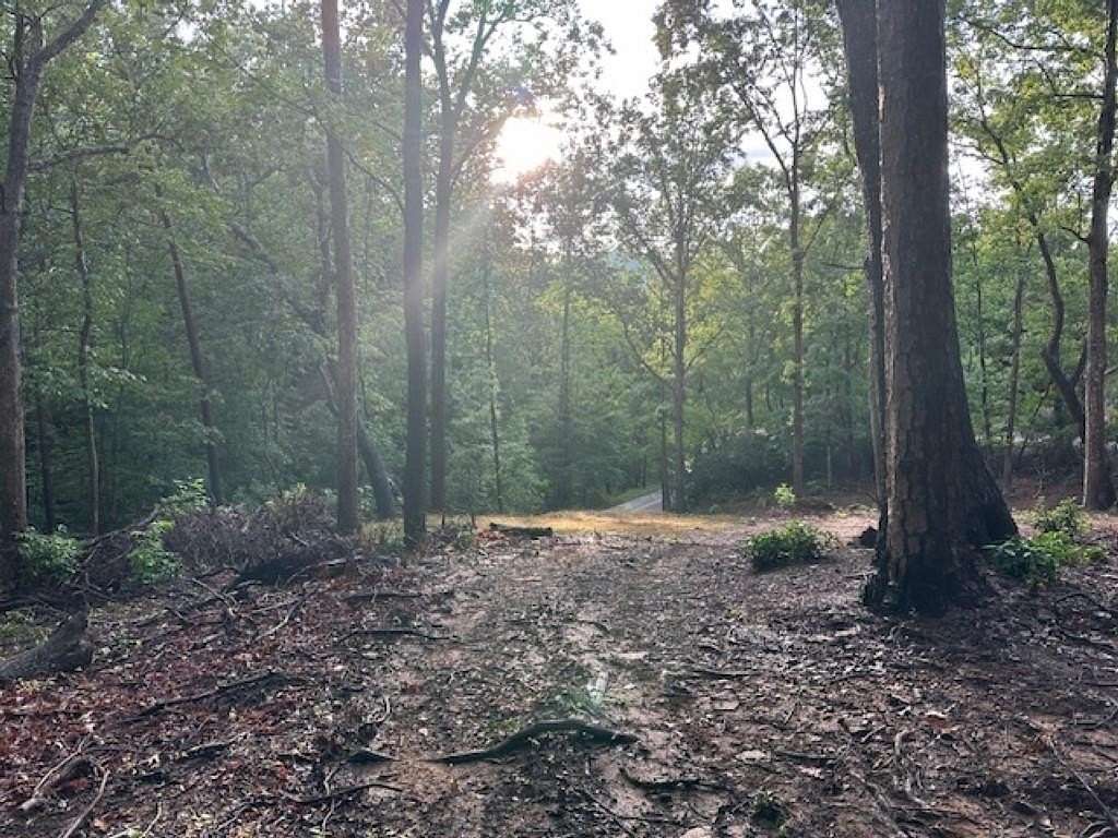 1.46 Acres of Land for Sale in Landrum, South Carolina