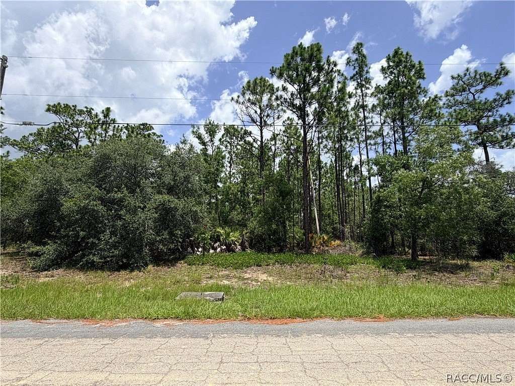1 Acre of Residential Land for Sale in Beverly Hills, Florida