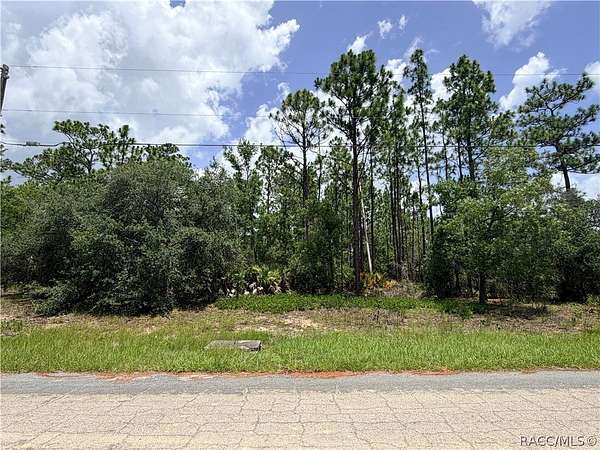 1 Acre of Residential Land for Sale in Beverly Hills, Florida