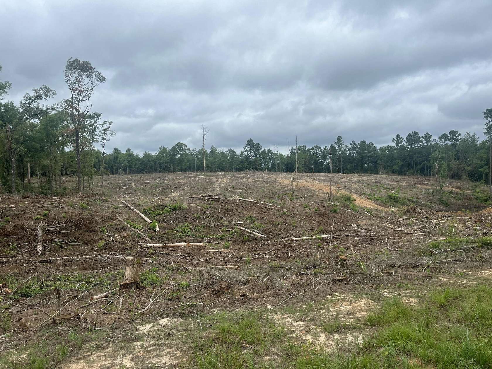 9.7 Acres of Residential Land for Sale in Columbia, Mississippi