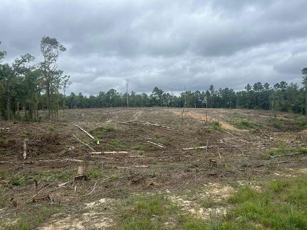 9.7 Acres of Residential Land for Sale in Columbia, Mississippi