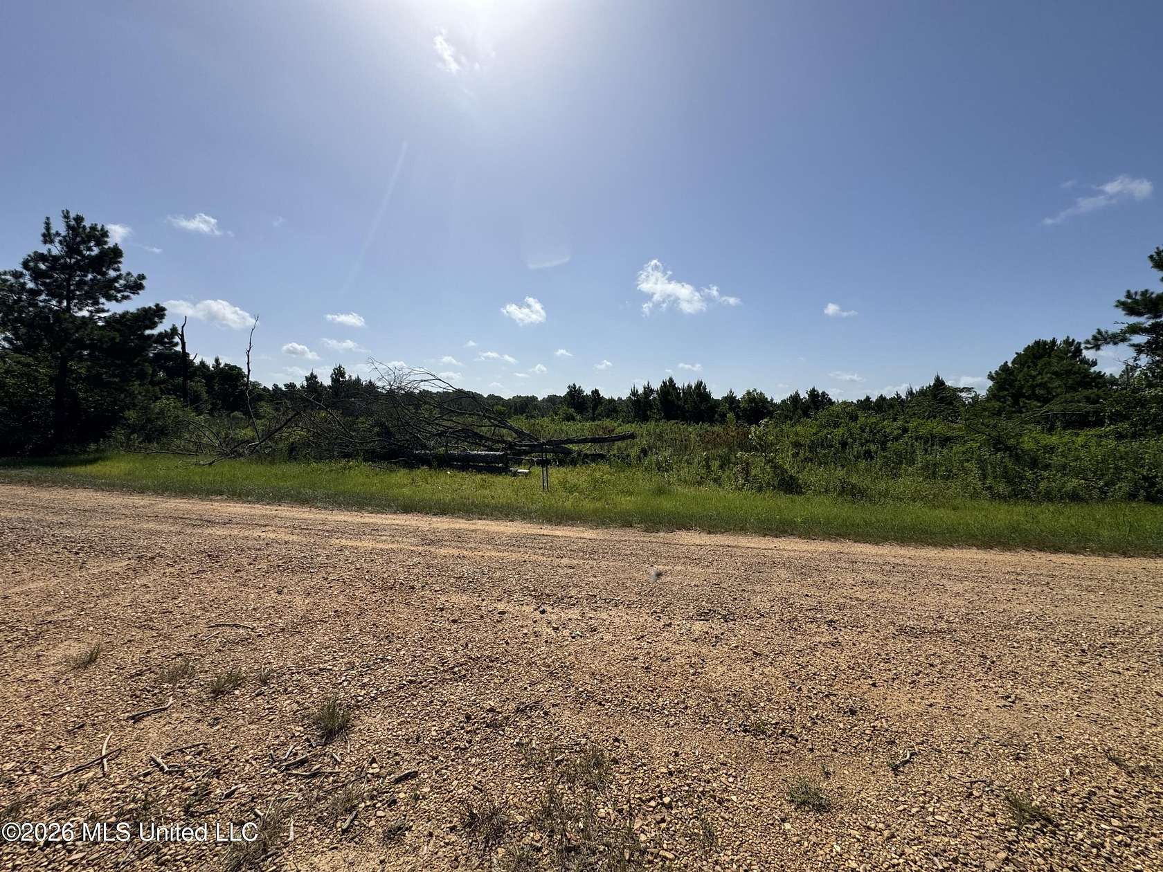 40 Acres of Recreational & Residential Land for Sale in Ruth, Mississippi