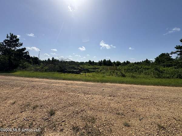 40 Acres of Recreational & Residential Land for Sale in Ruth, Mississippi