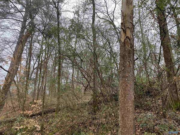 10 Acres of Residential Land for Sale in Hartselle, Alabama
