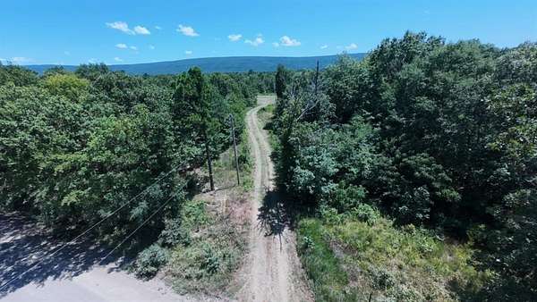 40 Acres of Land for Sale in Talihina, Oklahoma