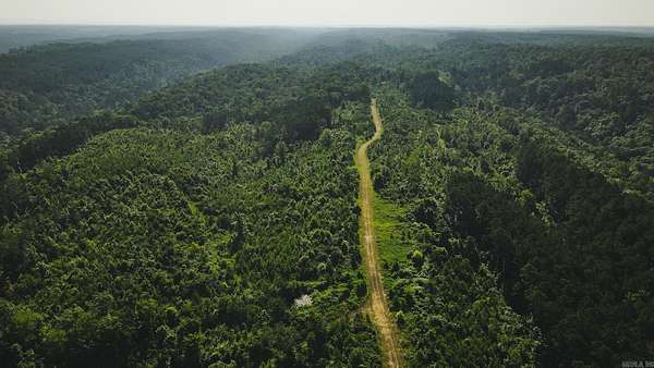 882 Acres of Recreational Land for Sale in Umpire, Arkansas