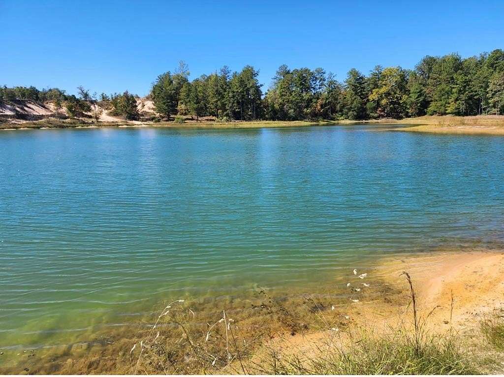 105 Acres of Recreational Land for Sale in Junction City, Georgia
