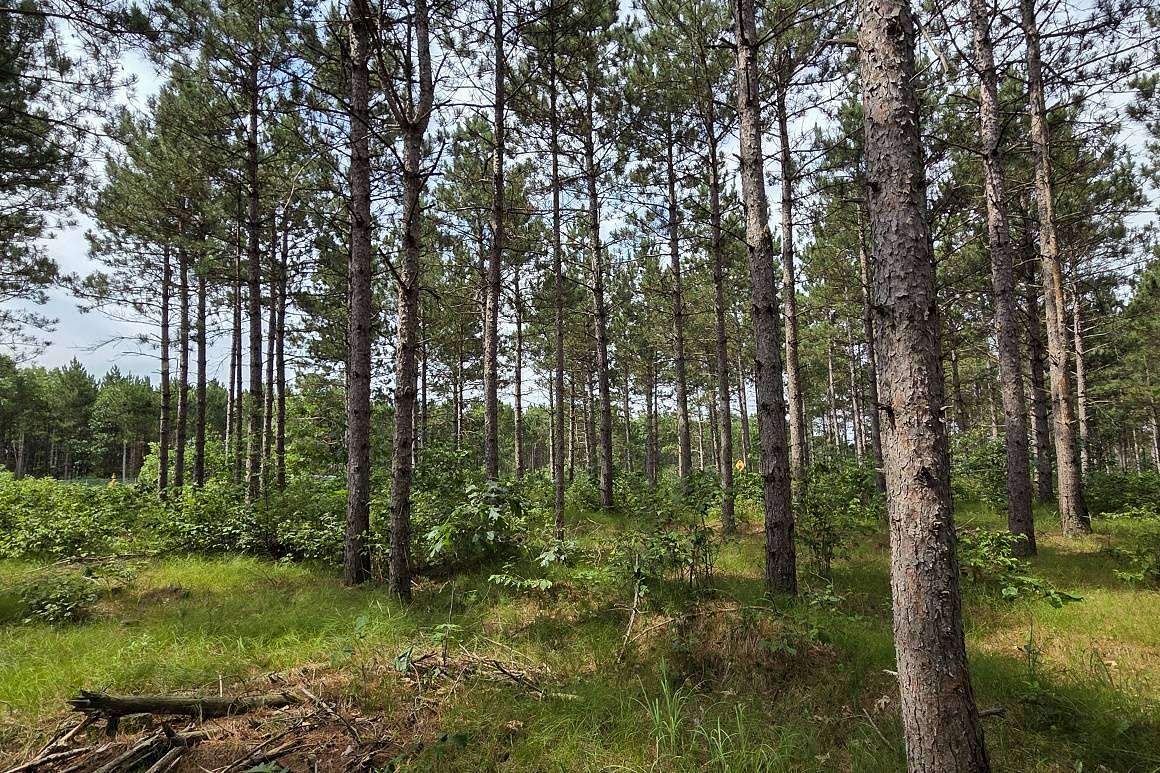 6.37 Acres of Land for Sale in Rome, Wisconsin