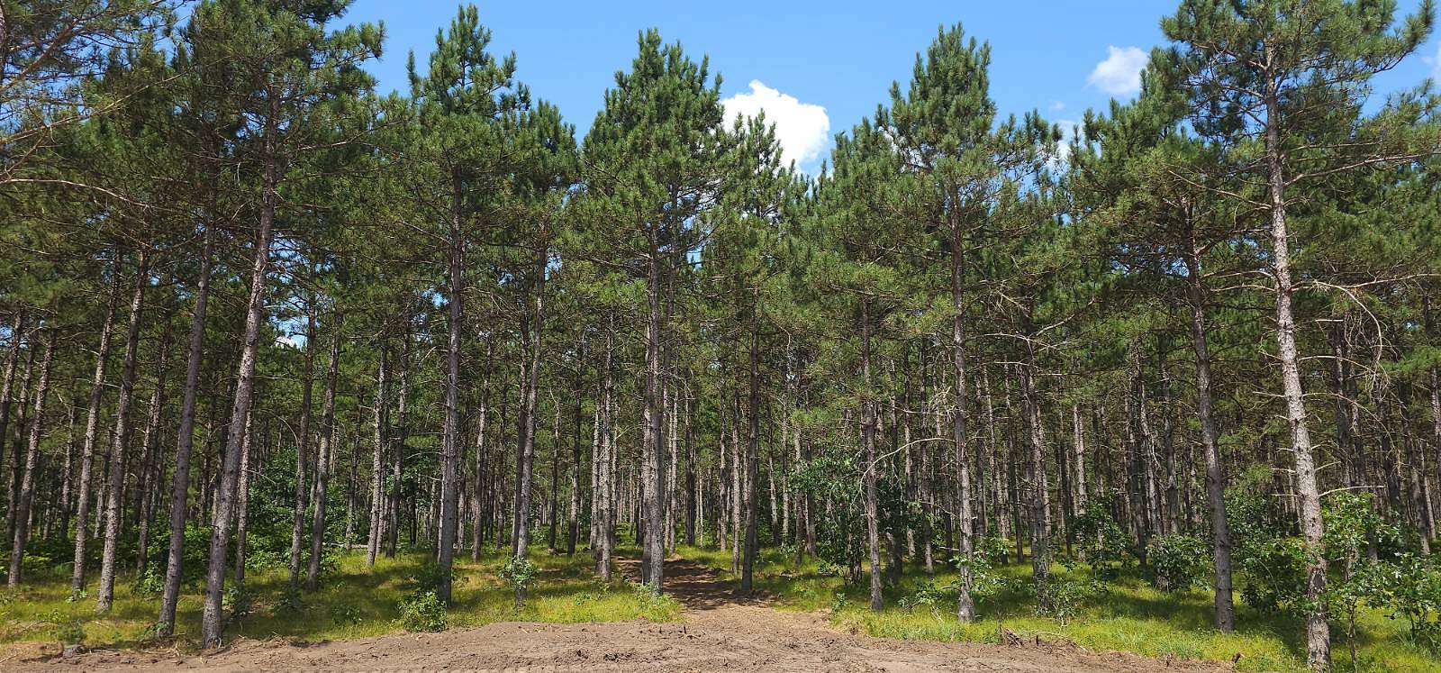 6.37 Acres of Land for Sale in Rome, Wisconsin