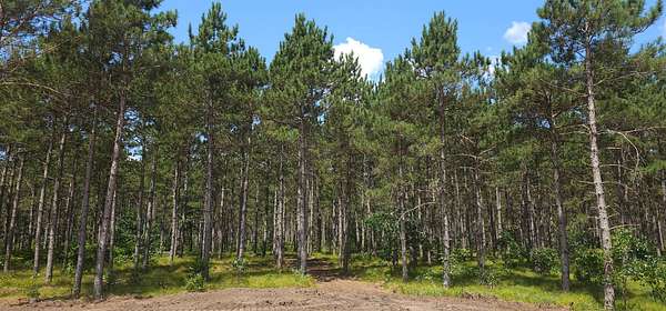 6.37 Acres of Land for Sale in Rome, Wisconsin