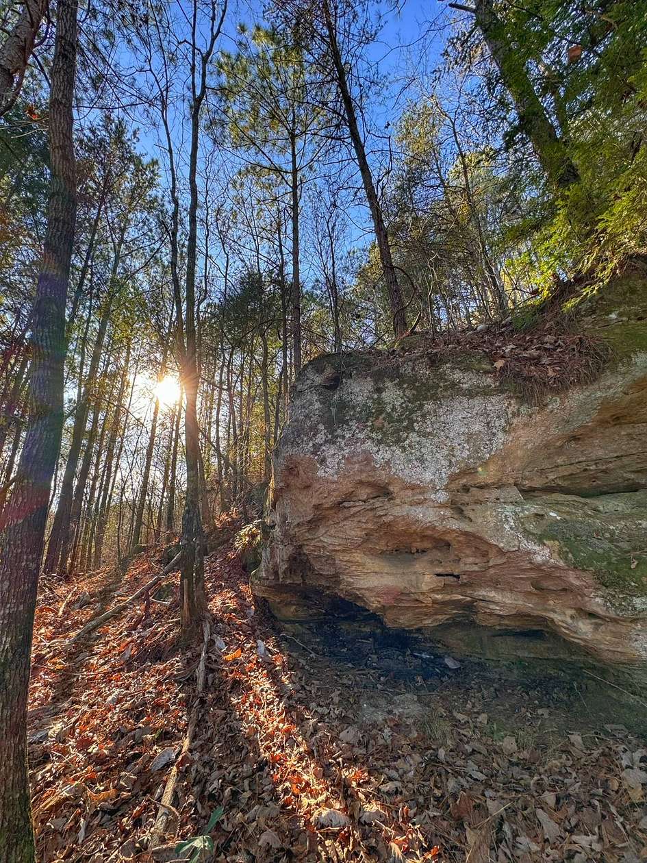 17.3 Acres of Recreational & Residential Land for Sale in Haleyville, Alabama