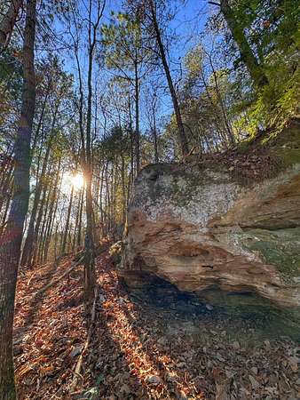 17.3 Acres of Recreational & Residential Land for Sale in Haleyville, Alabama