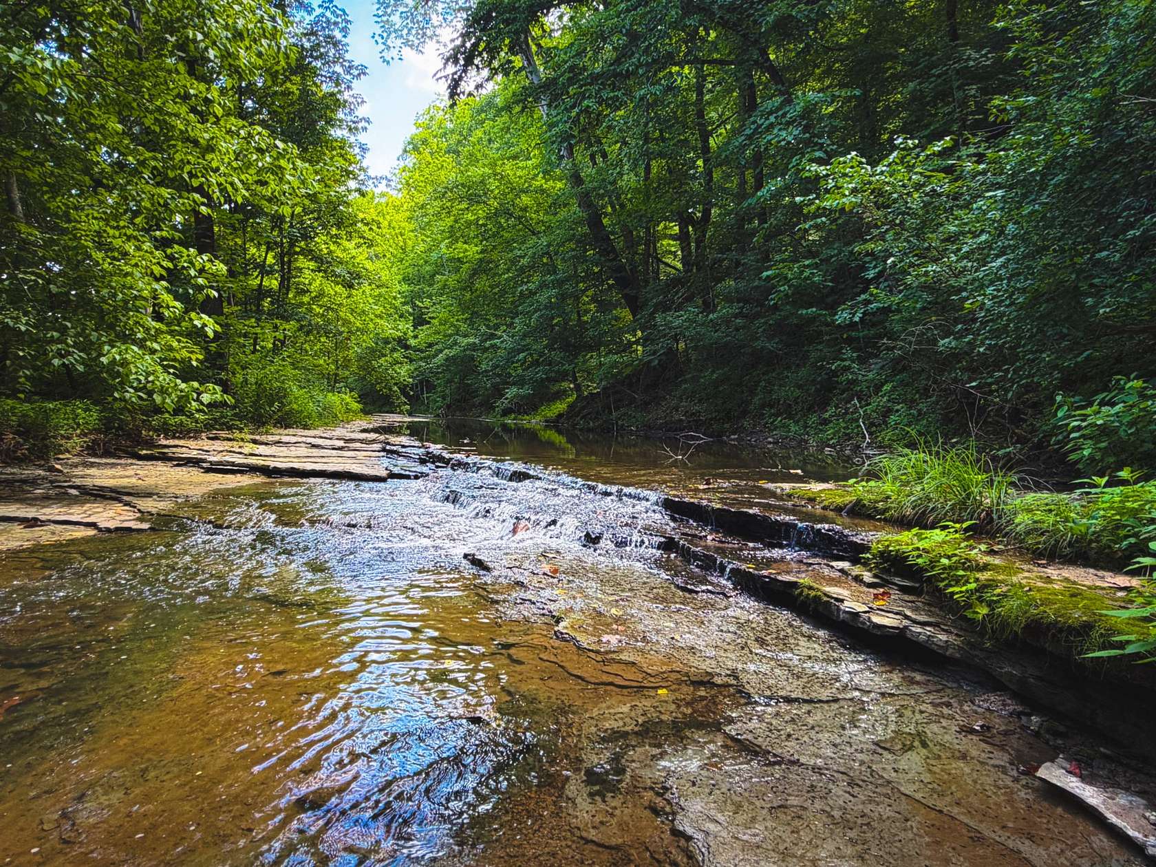 270 Acres of Land for Sale in Franklin, Tennessee